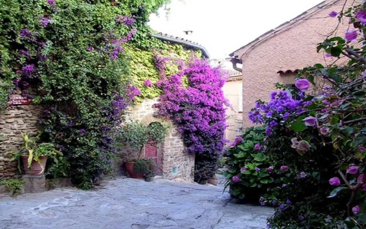 度假居 La Maison D'Anais Au Village 博尔马斯·莱斯·米默萨斯